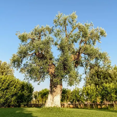 Apartment Costalta *