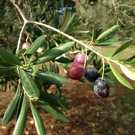 Costalta Appartamento