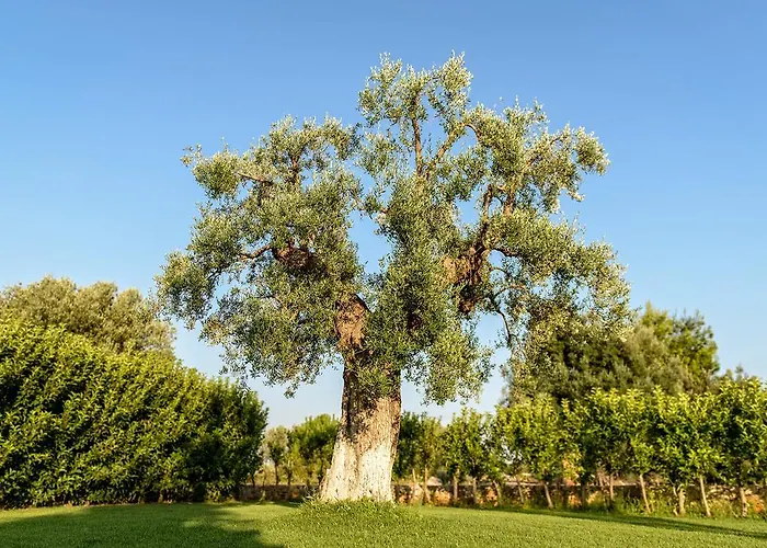 Apartment Costalta *